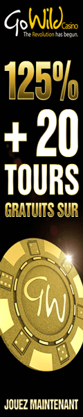 Jouer au Casino Go Wild