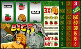 Big 5 - Casinos Microgaming