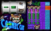 Cosmic Cat - Casinos Microgaming