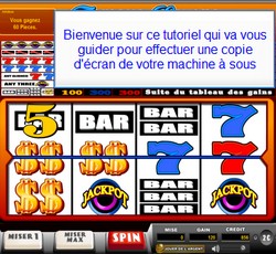 Acc&eacute;der &agrave; la D&eacute;mo Flash - Faire une capture d'&eacute;cran